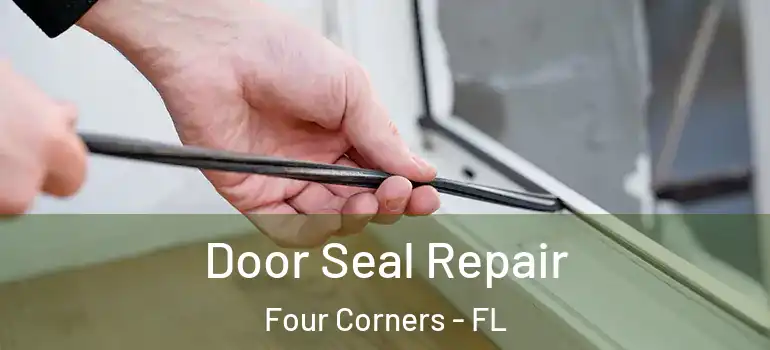  Door Seal Repair Four Corners - FL