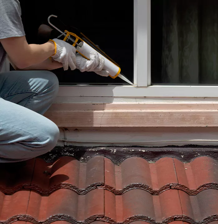 Roof Window Services in Four Corners, Florida