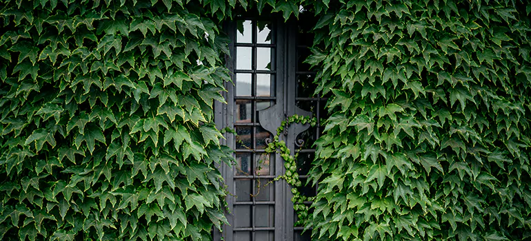 Garden Gate Repair in Four Corners, FL