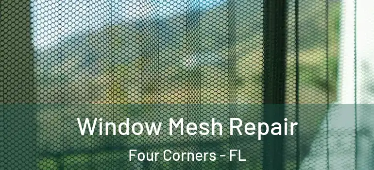  Window Mesh Repair Four Corners - FL