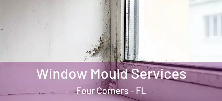  Window Mould Services Four Corners - FL